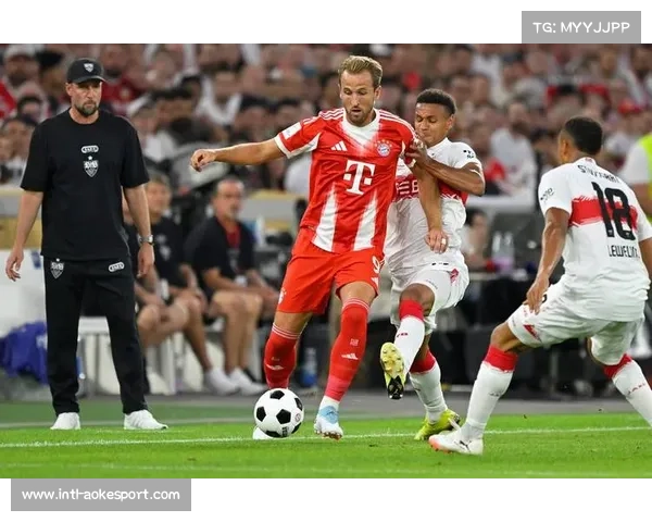 低温致球场草皮维护难，德甲多场比赛条件恶化